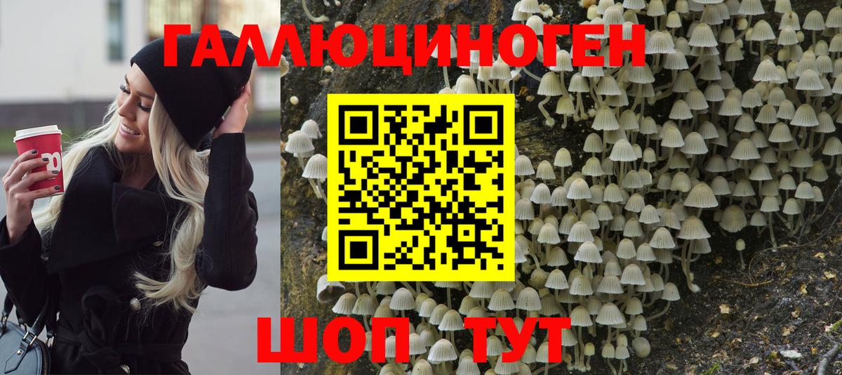 Галлюциногенные грибы ЛСД Торжок